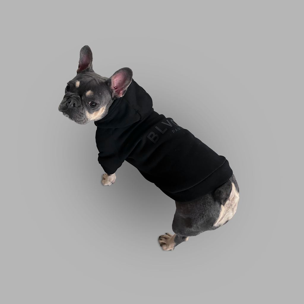 Black Blvck Bold Pet Hoodie Singapore | 804593-QYA