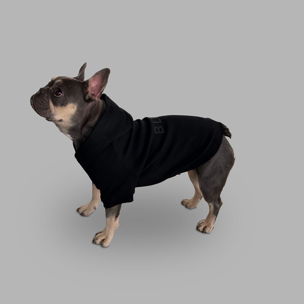 Black Blvck Bold Pet Hoodie Singapore | 804593-QYA